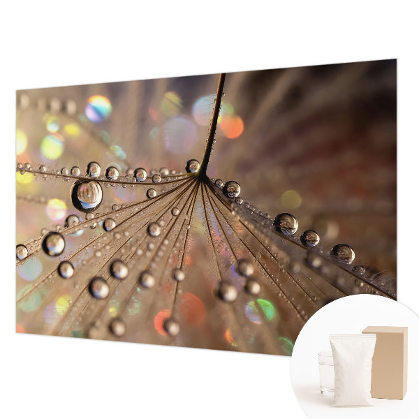 Fototapetas miegamajam Perledråber