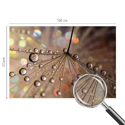 Fototapetas miegamajam Perledråber