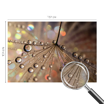 Fototapetas miegamajam Perledråber