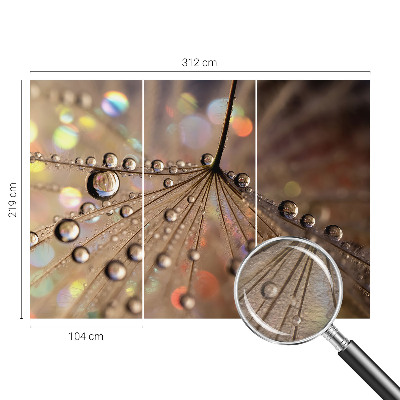 Fototapetas miegamajam Perledråber