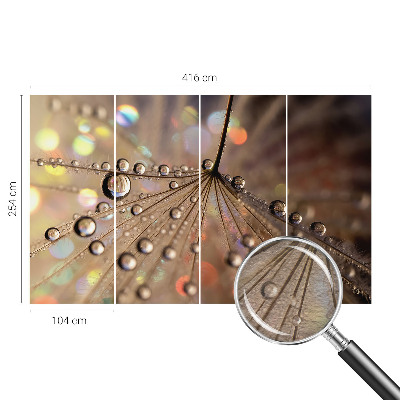 Fototapetas miegamajam Perledråber