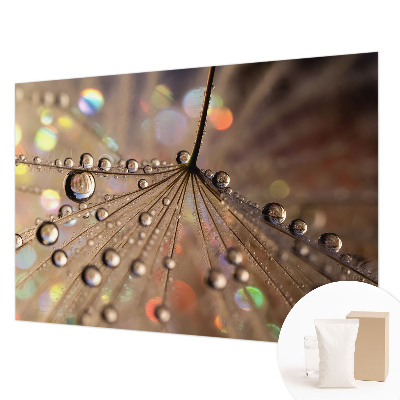 Fototapetas miegamajam Perledråber