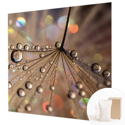 Fototapetas miegamajam Perledråber