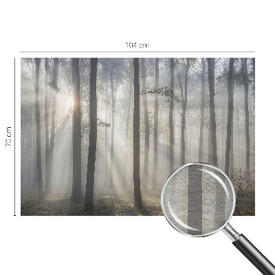 Fototapetas su eterinio miško motyvu