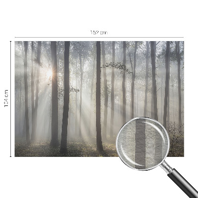 Fototapetas su eterinio miško motyvu