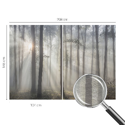 Fototapetas Æterisk skov