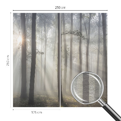 Fototapetas Æterisk skov