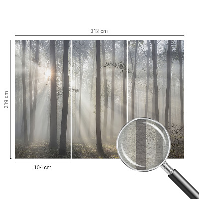 Fototapetas su eterinio miško motyvu