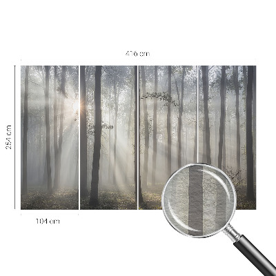 Fototapetas su eterinio miško motyvu