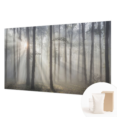 Fototapetas Æterisk skov