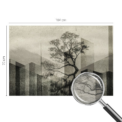 Fototapetas flizelino pagrindu Rå elegancija