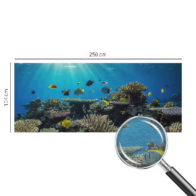 Fototapetas pagal užsakymą Undervandsverden