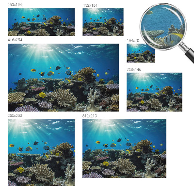 Fototapetas pagal užsakymą Undervandsverden