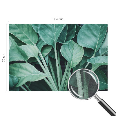 Fototapetas miegamajam Žalia gamta