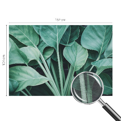 Fototapetas miegamajam Žalia gamta