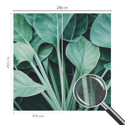 Fototapetas miegamajam Žalia gamta