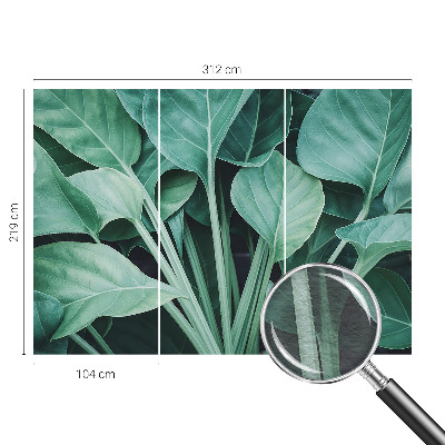 Fototapetas miegamajam Žalia gamta