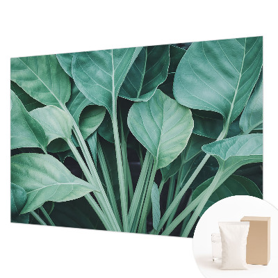 Fototapetas miegamajam Žalia gamta