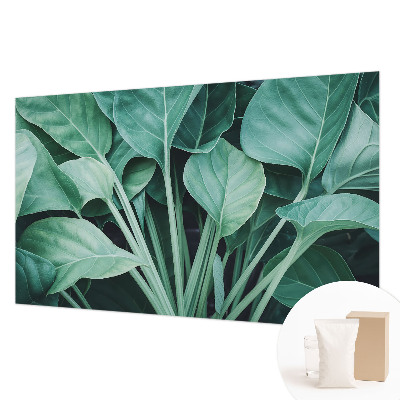 Fototapetas miegamajam Žalia gamta