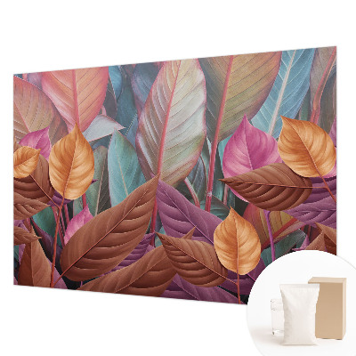 Fototapetas pagal matmenis Spalvingas peilis