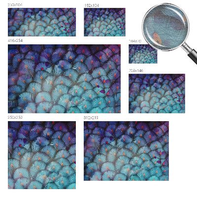 Aukštos kokybės fototapetas Spalvingas fjeras