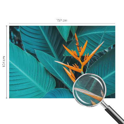 Sienų danga fototapetas Bladrige bloomster