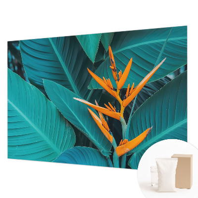 Sienų danga fototapetas Bladrige bloomster