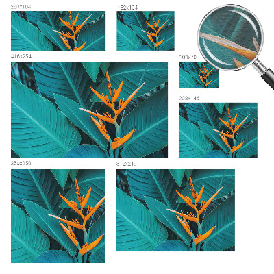 Sienų danga fototapetas Bladrige bloomster