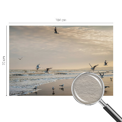 Tapetas Ro ved havet