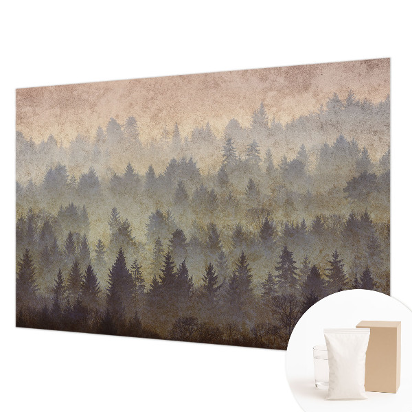 Modernus fototapetas Skovtåge