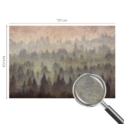 Modernus fototapetas su Skovtåge motyvu