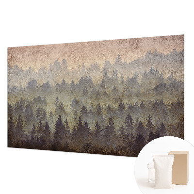 Modernus fototapetas Skovtåge