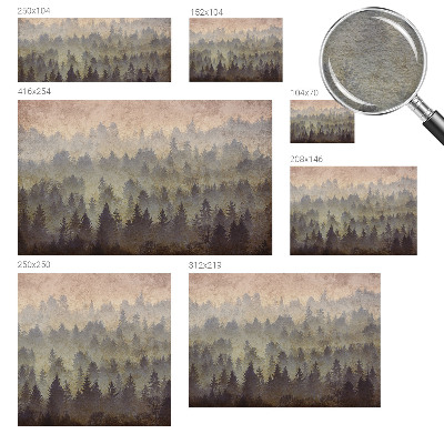 Modernus fototapetas Skovtåge