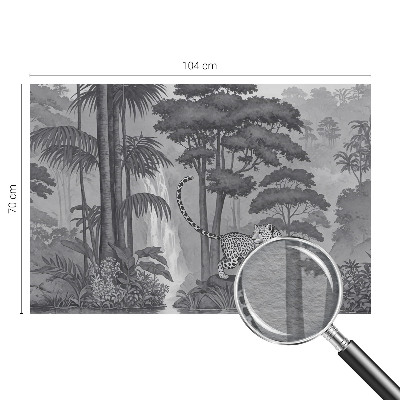 Fototapetas svetainei Tropikų džiunglės