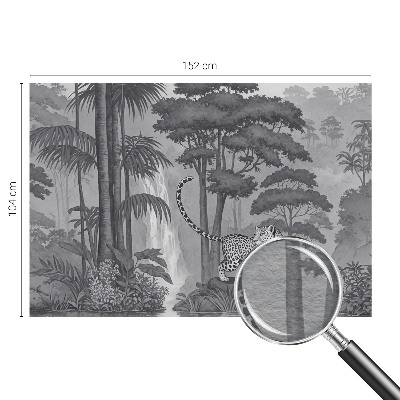 Fototapetas svetainei Tropikų džiunglės