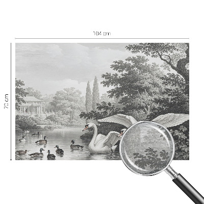 Fototapetas Gamtos elegancija