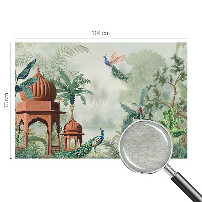 Fototapetas ant sienos Påfugleheaver