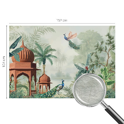 Fototapetas ant sienos Påfugleheaver