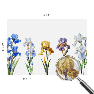 Fototapetas pagal matmenis Irisblomster