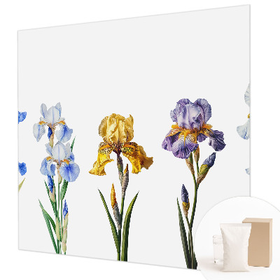 Fototapetas pagal matmenis Irisblomster