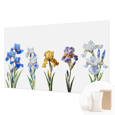 Fototapetas pagal matmenis Irisblomster
