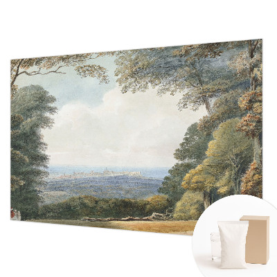 Fototapetas Skovklædt kraštovaizdžio