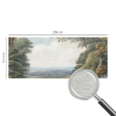 Fototapetas Skovklædt kraštovaizdžio