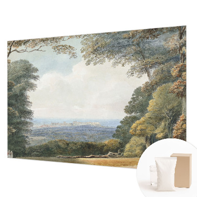 Fototapetas Skovklædt kraštovaizdžio