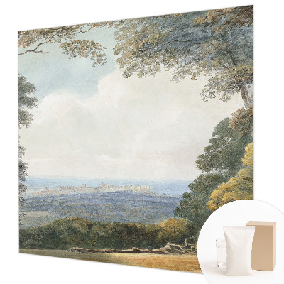 Fototapetas Skovklædt kraštovaizdžio