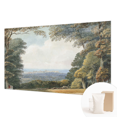 Fototapetas Skovklædt kraštovaizdžio