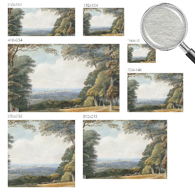 Fototapetas Skovklædt kraštovaizdžio