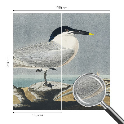 Fototapetas pagal užsakymą Ornitologinė elegancija