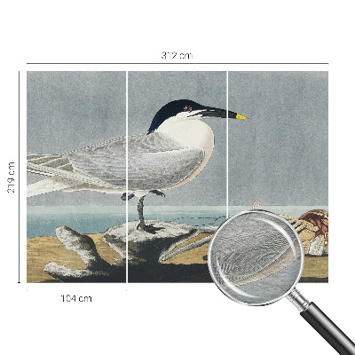 Fototapetas pagal užsakymą Ornitologinė elegancija