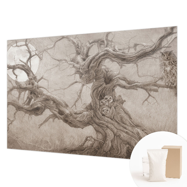 Fototapetas Natfugle